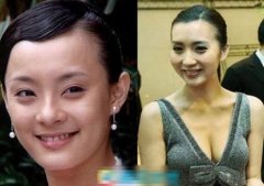 孫儷大S劉亦菲 “月餅臉”女星誰最美/圖