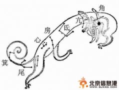 老北京龍?zhí)ь^食俗