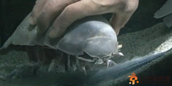 點擊瀏覽下一張