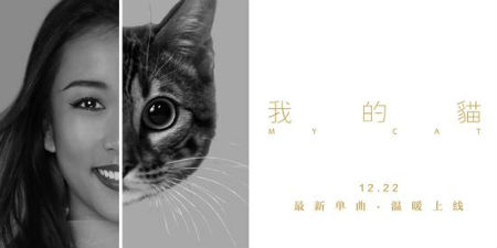 吉克雋逸新歌獻愛寵 吉克雋逸《我的貓》歌詞試聽