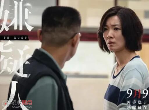 第八個嫌疑人楊芳原型是誰