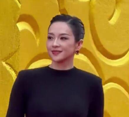 章子怡亮相華表獎紅毯 氣場全開